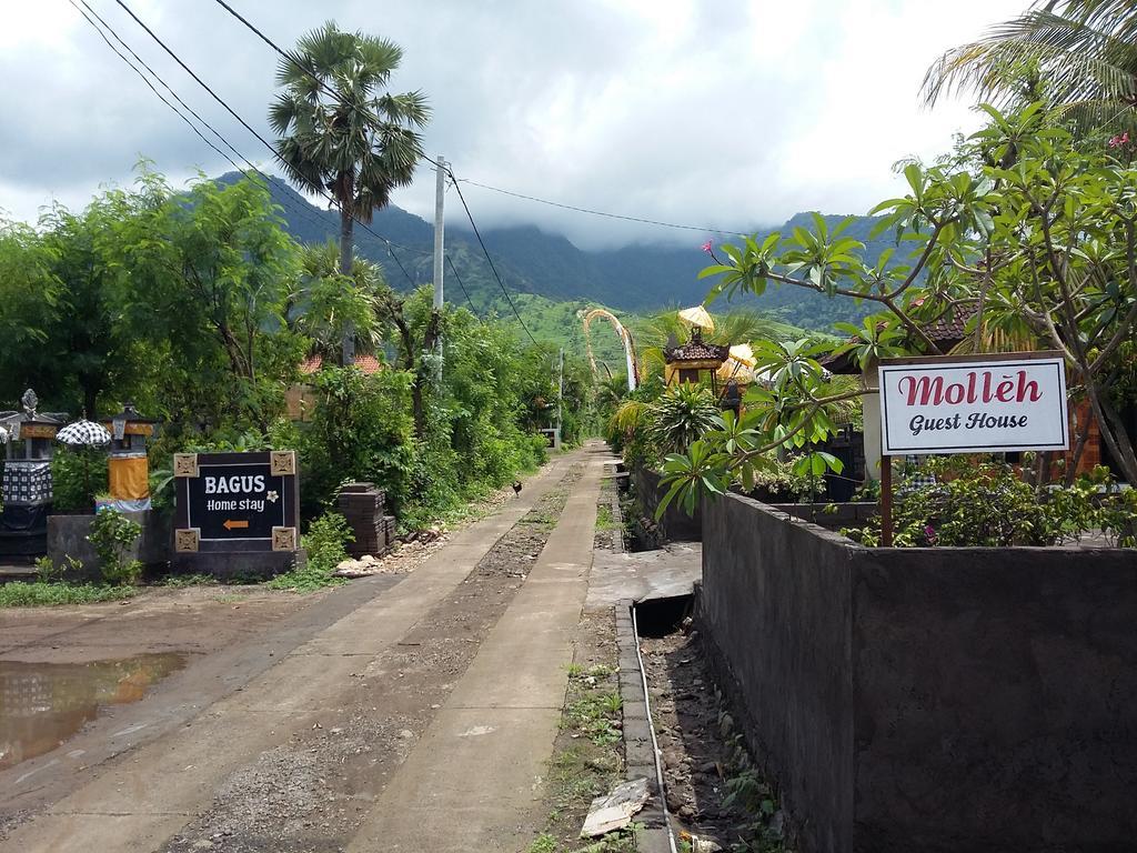 Molleh Guest House Pemuteran Exterior foto